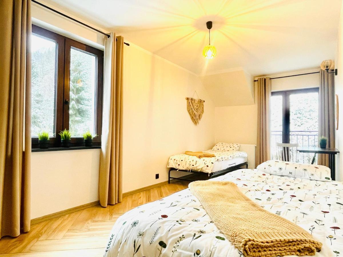 Gorska Cisza - Duzy, Komfortowy, Wyjatkowy Apartament Stronie Śląskie Zewnętrze zdjęcie