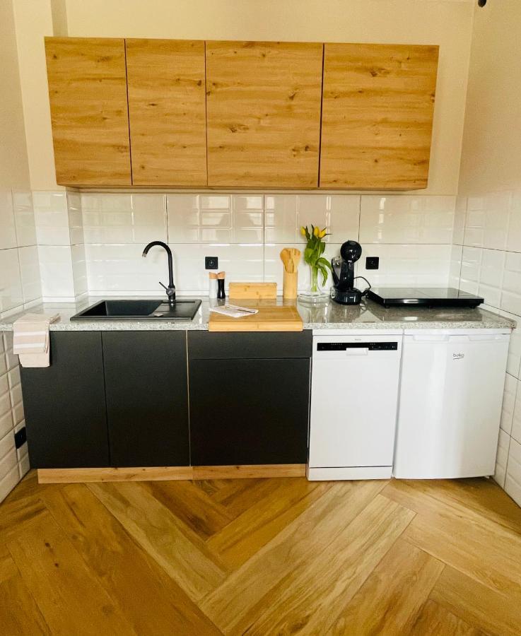 Gorska Cisza - Duzy, Komfortowy, Wyjatkowy Apartament Stronie Śląskie Zewnętrze zdjęcie