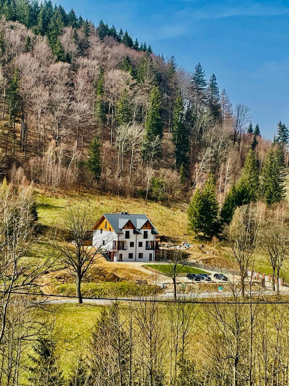 Gorska Cisza - Duzy, Komfortowy, Wyjatkowy Apartament Stronie Śląskie Zewnętrze zdjęcie